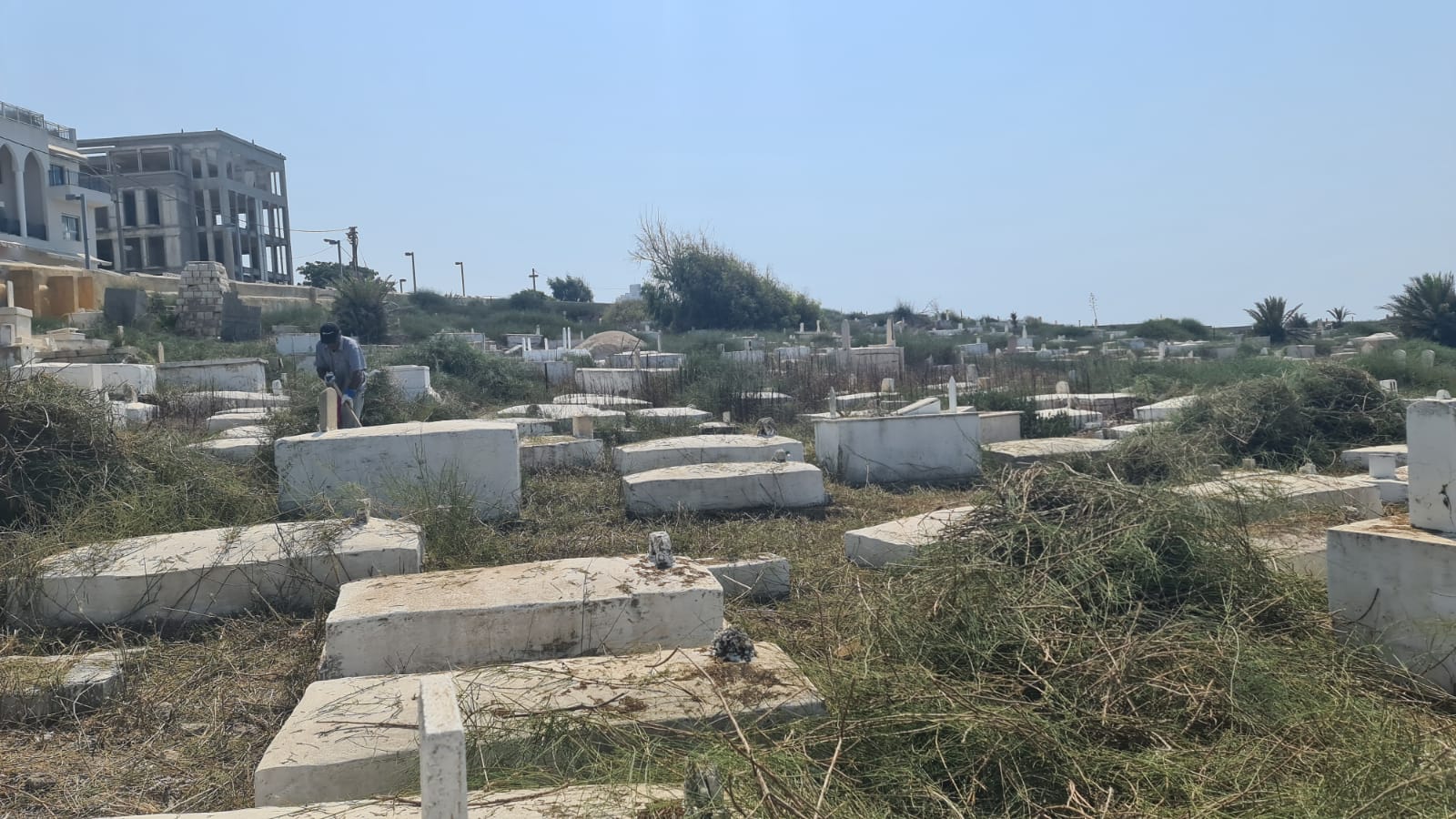 WhatsApp Image 2020-09-19 at 1.45.35 PM (2).jpeg.jpeg